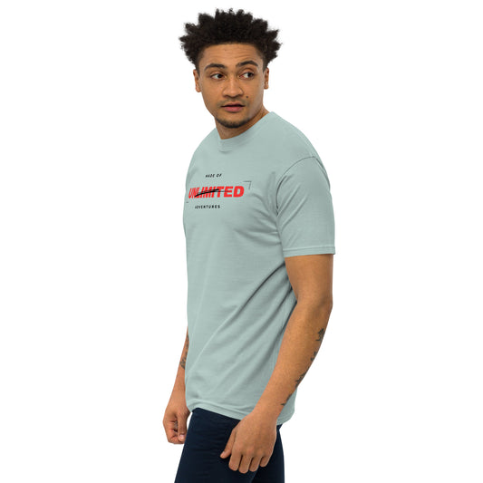 Men’s premium heavyweight Graphic T-shirt - FashFellow
